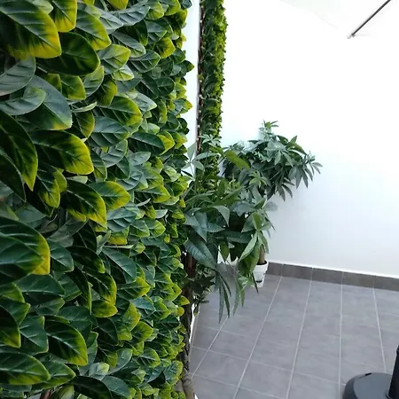 Apartmentos Pompidou Apartment Malaga